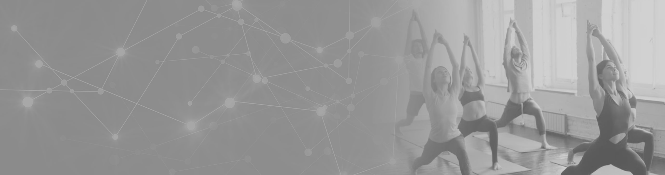 immagine rappresentativa dei servizi eseguiti in Palestra